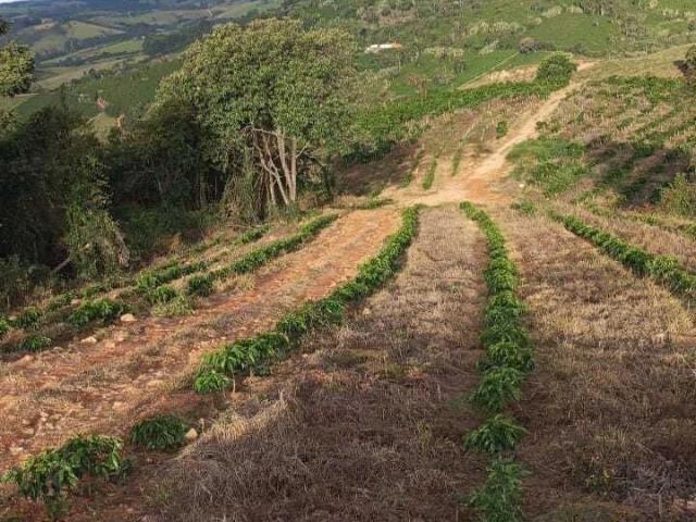 Sítio e chácara venda em Campestre, Região Geográfica Intermediária de Pouso Alegre
