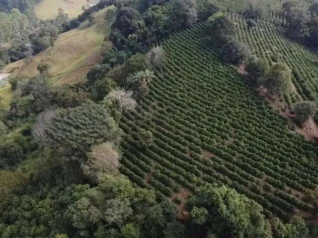 Sítio e chácara venda em Região Geográfica Imediata de Poços de Caldas, Campestre