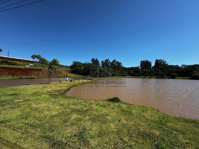 Sítio e chácara venda em Região Geográfica Imediata de Campo Mourão, Campina da Lagoa