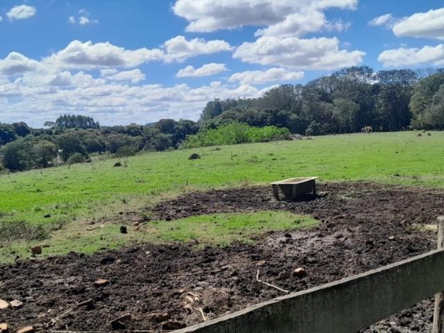 Sítio e chácara venda em Região Imediata de Itapetininga, Campina do Monte Alegre