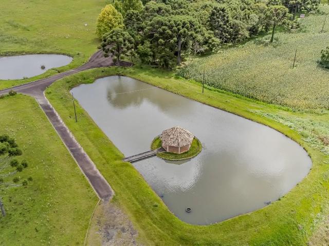 Sítio e chácara venda em Região Geográfica Imediata de Curitiba, Região Metropolitana de Curitiba