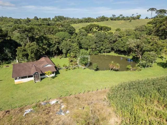 Sítio e chácara venda em Região Geográfica Imediata de Curitiba, Região Metropolitana de Curitiba