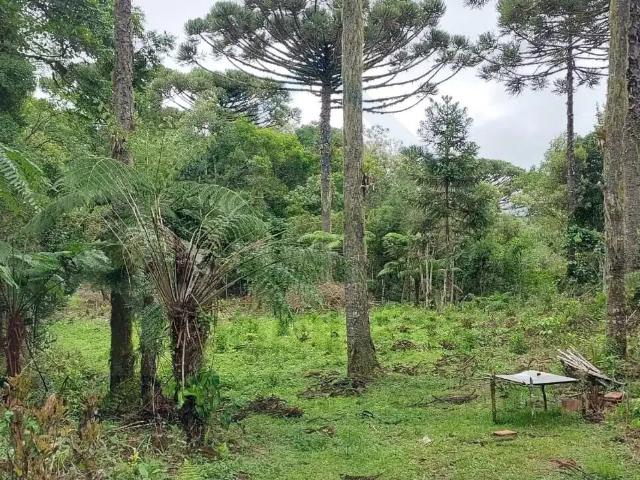 Sítio e chácara venda em Região Geográfica Imediata de Curitiba, Região Metropolitana de Curitiba