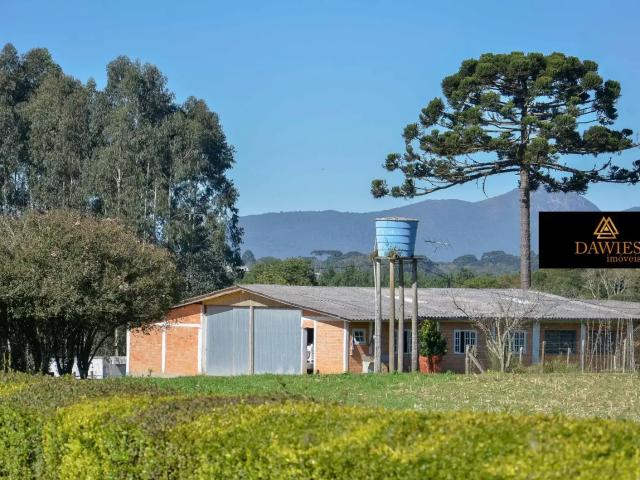 Sítio e chácara venda em Região Geográfica Imediata de Curitiba, Região Metropolitana de Curitiba