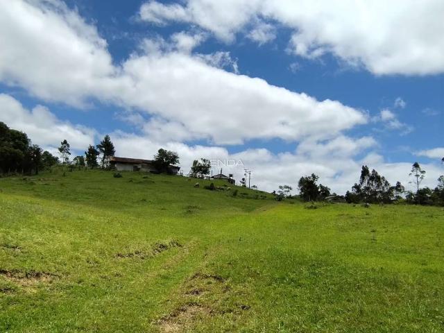 Sítio e chácara venda em Campina Grande do Sul, Região Geográfica Intermediária de Curitiba