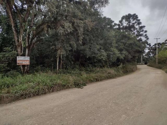 Sítio e chácara venda em Jardim Santa Rosa, Campina Grande do Sul