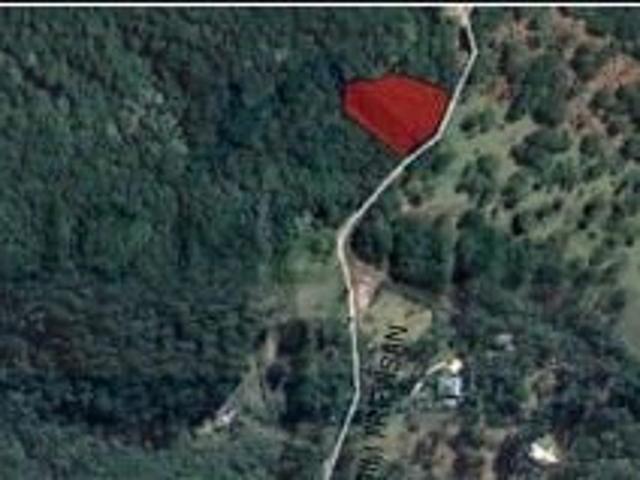 Sítio e chácara venda em Região Geográfica Imediata de Curitiba, Região Metropolitana de Curitiba