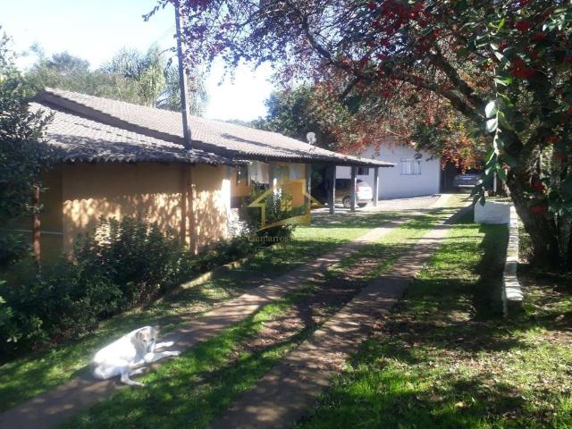 Sítio e chácara venda em Região Geográfica Imediata de Curitiba, Região Metropolitana de Curitiba