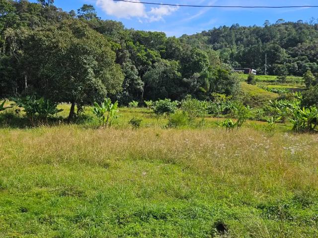 Sítio e chácara venda em Região Geográfica Imediata de Curitiba, Região Metropolitana de Curitiba