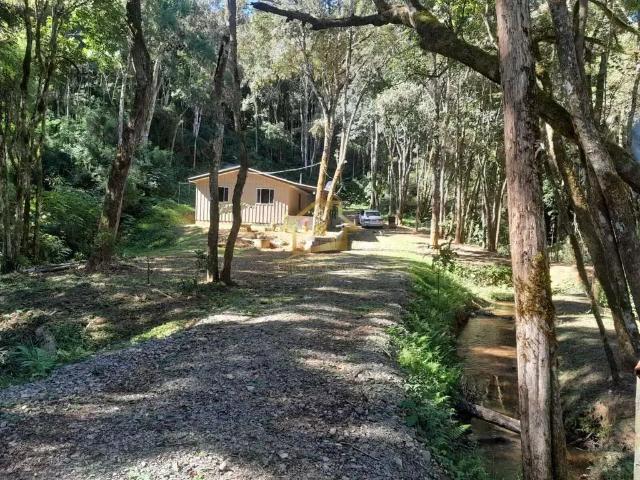 Sítio e chácara venda em Região Geográfica Imediata de Curitiba, Região Metropolitana de Curitiba
