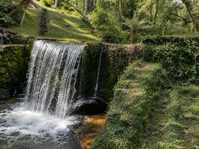Sítio e chácara venda em Região Geográfica Imediata de Curitiba, Região Metropolitana de Curitiba