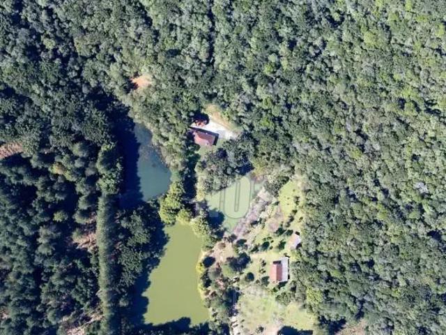 Sítio e chácara venda em Jardim Diamante, Campina Grande do Sul