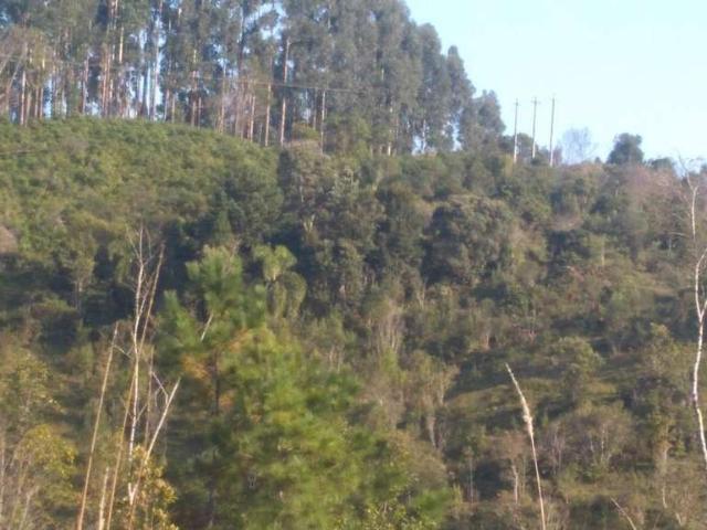 Sítio e chácara venda em Região Geográfica Imediata de Curitiba, Região Metropolitana de Curitiba