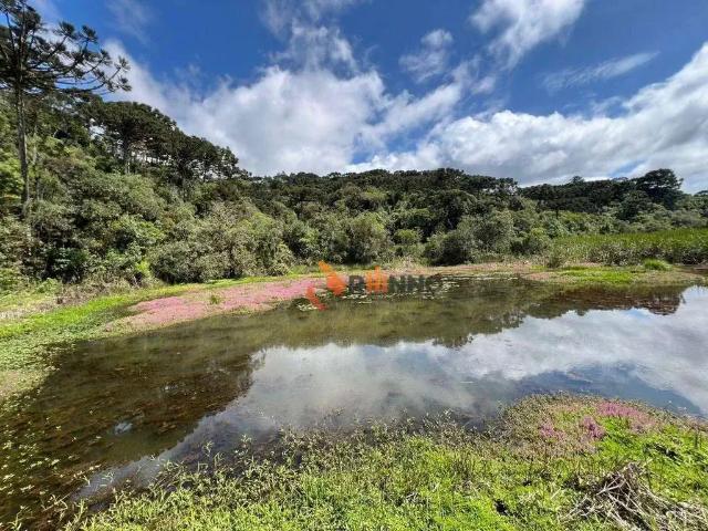 Sítio e chácara venda em Região Geográfica Imediata de Curitiba, Região Metropolitana de Curitiba