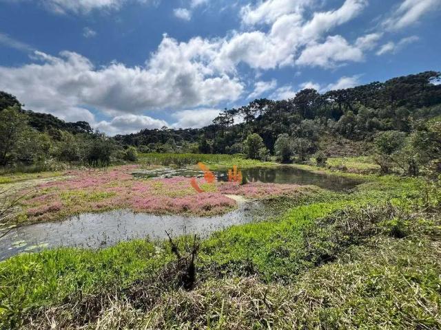 Sítio e chácara venda em Região Geográfica Imediata de Curitiba, Região Metropolitana de Curitiba