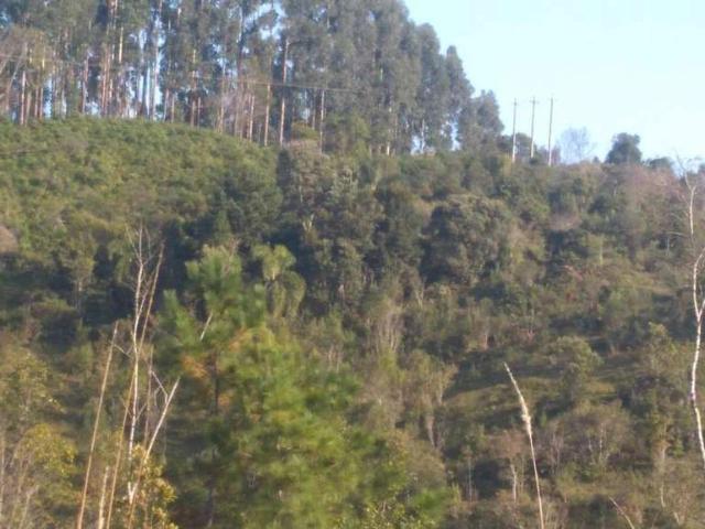 Sítio e chácara venda em Região Geográfica Imediata de Curitiba, Região Metropolitana de Curitiba