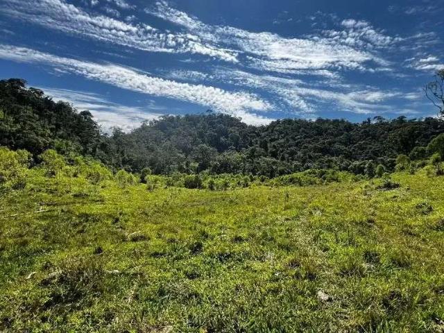 Sítio e chácara venda em Região Geográfica Imediata de Curitiba, Região Metropolitana de Curitiba