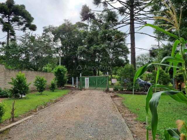 Sítio e chácara venda em Região Geográfica Imediata de Curitiba, Região Metropolitana de Curitiba