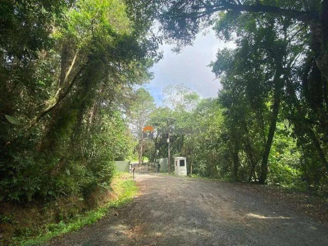 Sítio e chácara venda em Região Geográfica Imediata de Curitiba, Região Metropolitana de Curitiba