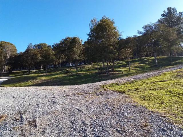 Sítio e chácara venda em Região Geográfica Imediata de Curitiba, Região Metropolitana de Curitiba