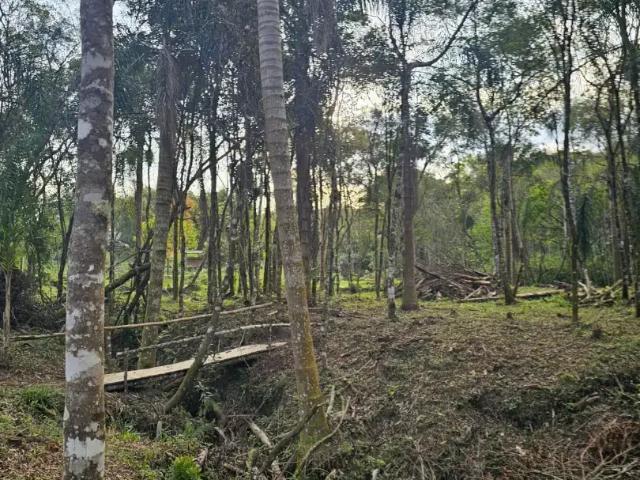 Sítio e chácara venda em Região Geográfica Imediata de Curitiba, Região Metropolitana de Curitiba