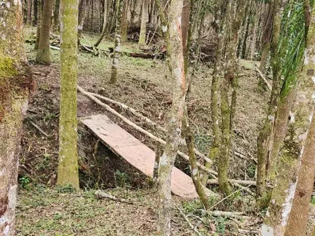 Sítio e chácara venda em Campina Grande do Sul, Região Geográfica Intermediária de Curitiba