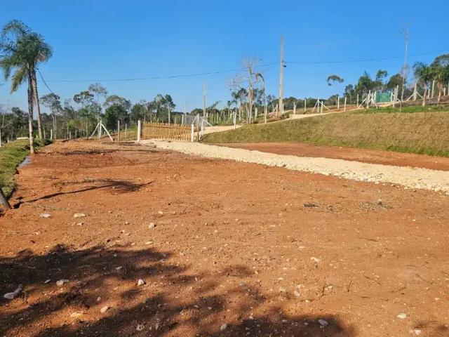 Sítio e chácara venda em Região Geográfica Imediata de Curitiba, Região Metropolitana de Curitiba
