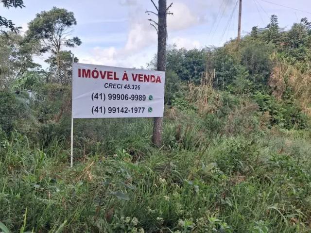 Sítio e chácara venda em Região Geográfica Imediata de Curitiba, Região Metropolitana de Curitiba