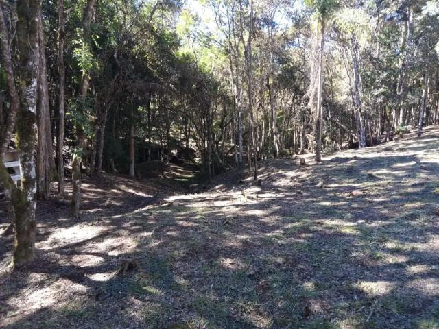 Sítio e chácara venda em Campina Grande do Sul, Região Geográfica Intermediária de Curitiba