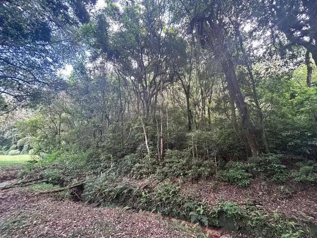 Sítio e chácara venda em Região Geográfica Imediata de Curitiba, Região Metropolitana de Curitiba