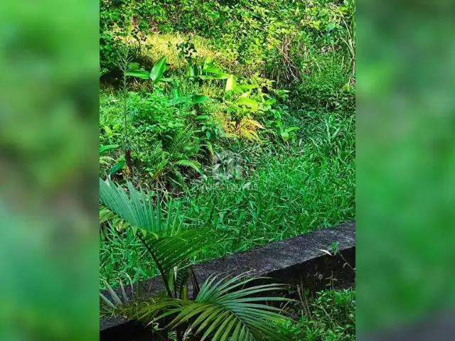Sítio e chácara venda em Região Geográfica Imediata de Curitiba, Região Metropolitana de Curitiba