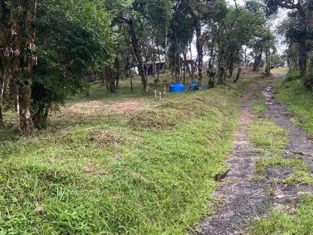 Sítio e chácara venda em Região Geográfica Imediata de Curitiba, Região Metropolitana de Curitiba