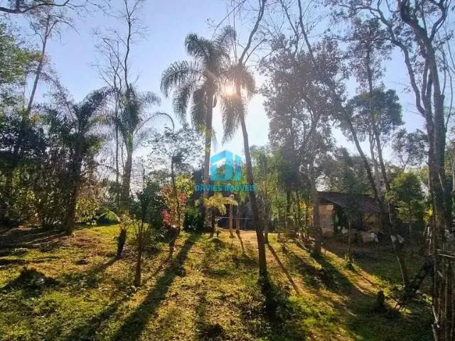 Sítio e chácara venda em Região Geográfica Imediata de Curitiba, Região Metropolitana de Curitiba