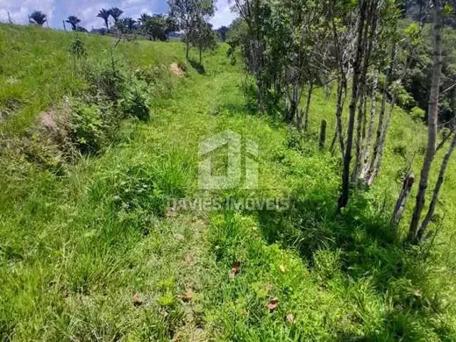 Sítio e chácara venda em Quatro Barras, Região Geográfica Intermediária de Curitiba