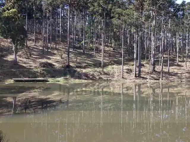 Sítio e chácara venda em Região Geográfica Imediata de Curitiba, Região Metropolitana de Curitiba
