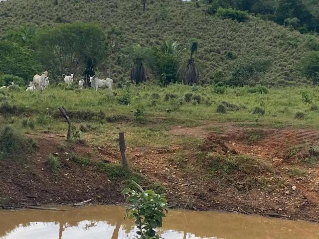 Sítio e chácara venda em Região Geográfica Imediata de Porangatu, Campinaçu