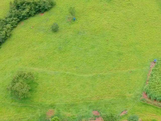 Sítio e chácara venda em Região Geográfica Imediata de Uberlândia, Campina Verde
