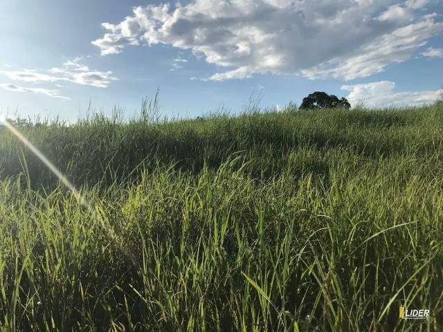 Sítio e chácara venda em Região Geográfica Imediata de Uberlândia, Campina Verde