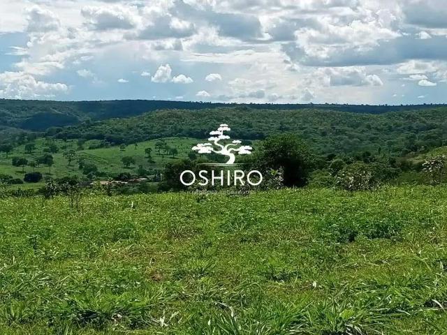 Sítio e chácara venda em Região Geográfica Imediata de Água Boa, Campinápolis