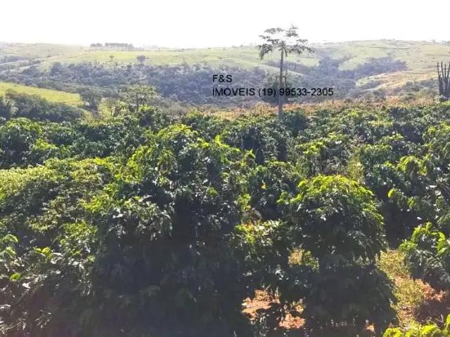 Sítio e chácara venda em Região Imediata de Campinas, Região Metropolitana de Campinas