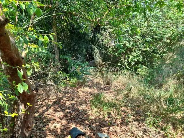 Sítio e chácara venda em Região Imediata de Campinas, Região Metropolitana de Campinas