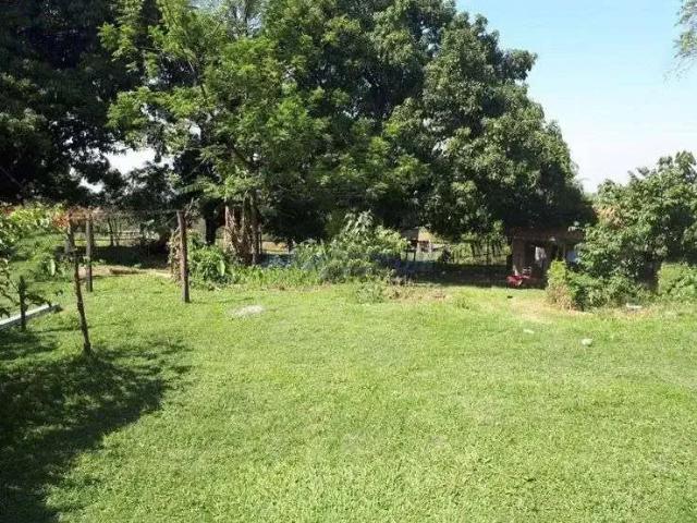 Sítio e chácara venda em Campinas