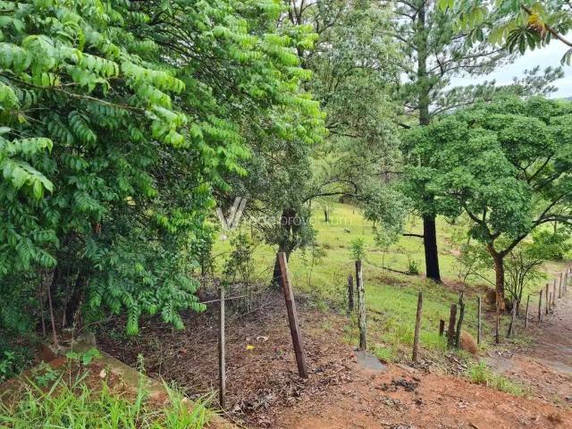 Sítio e chácara venda em Barão Geraldo, Campinas
