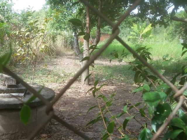 Sítio e chácara venda em Região Imediata de Itapetininga, Região Metropolitana de Sorocaba