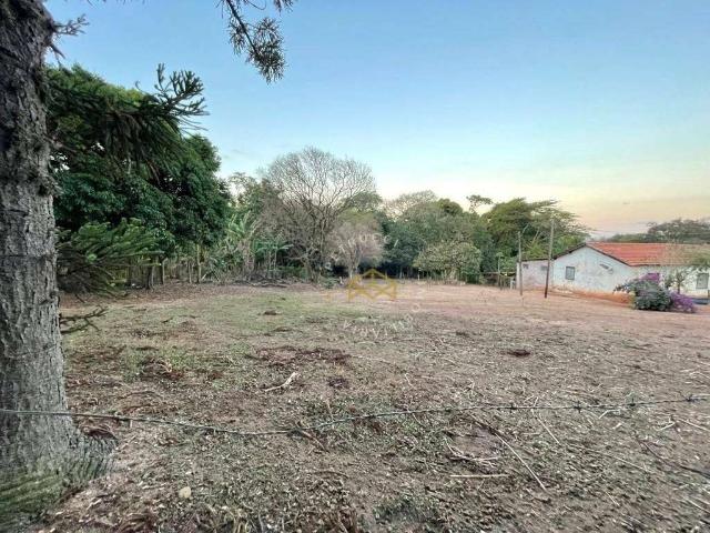 Sítio e chácara venda em Região Imediata de Campinas, Região Metropolitana de Campinas