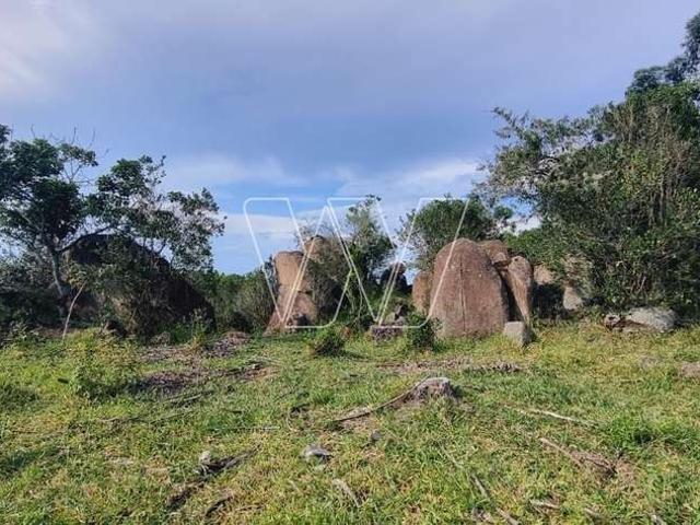 Sítio e chácara venda em Região Imediata de Campinas, Região Metropolitana de Campinas