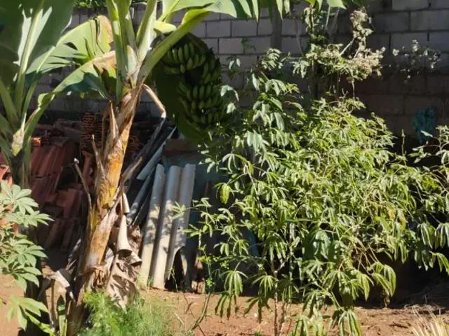 Sítio e chácara venda em Região Imediata de Campinas, Região Metropolitana de Campinas