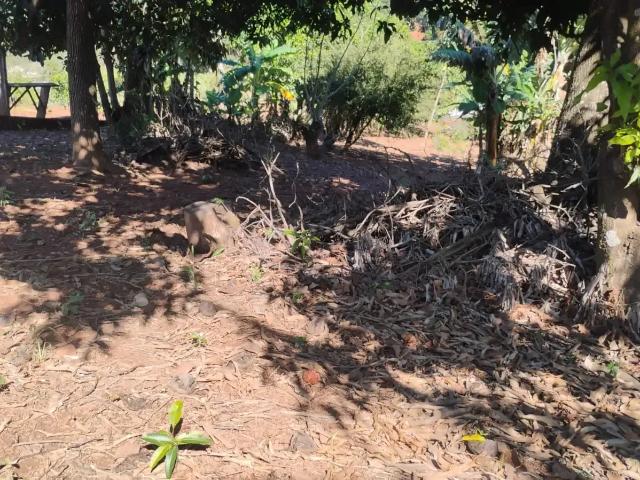 Sítio e chácara venda em Região Imediata de Campinas, Região Metropolitana de Campinas