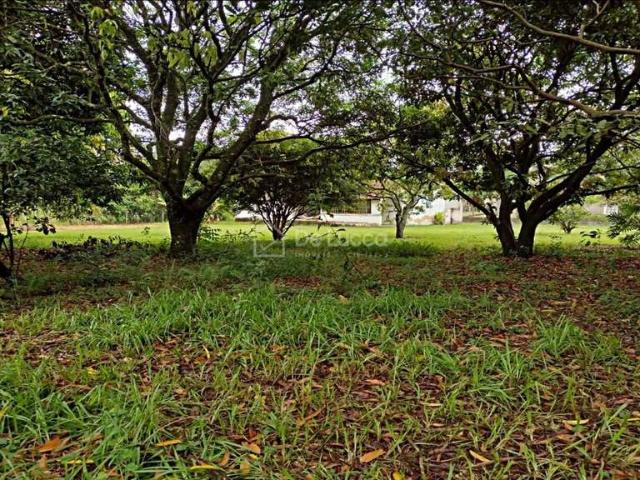 Sítio e chácara venda em São Thomé das Letras, São Paulo