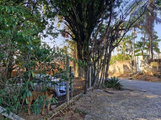Sítio e chácara venda em Região Imediata de Campinas, Região Metropolitana de Campinas
